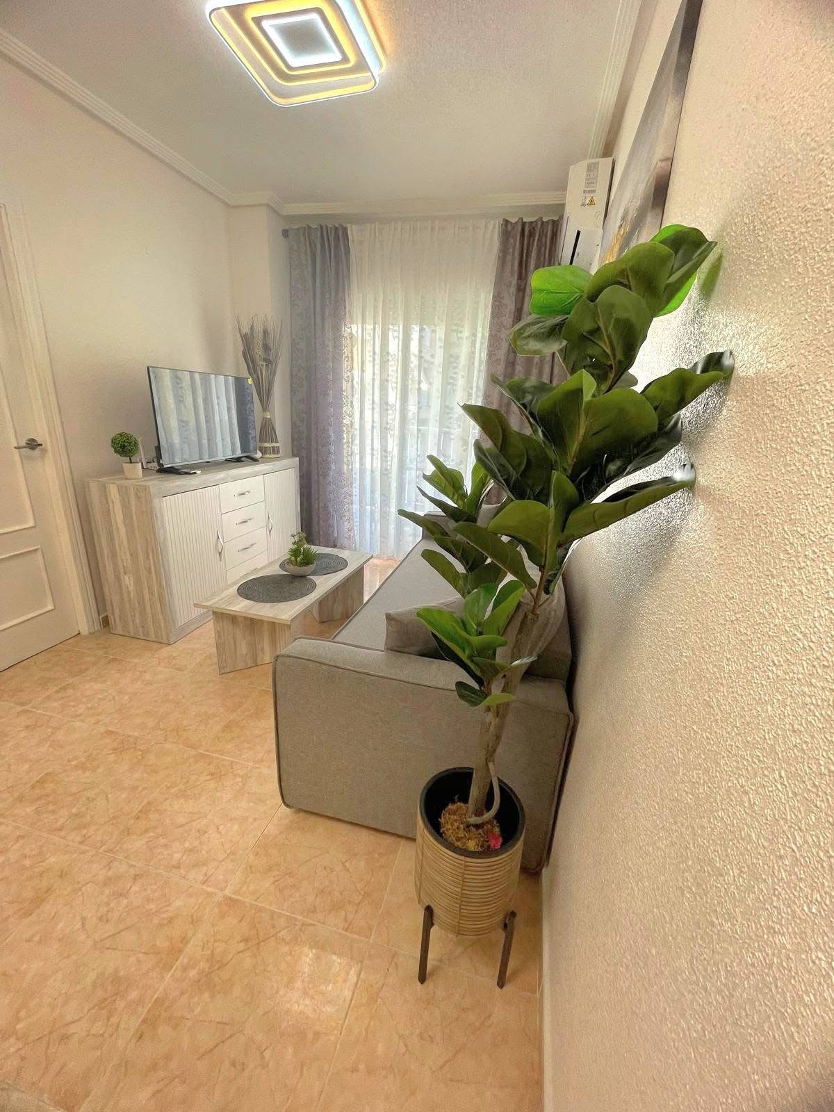 C.los Gases 20, Torrevieja