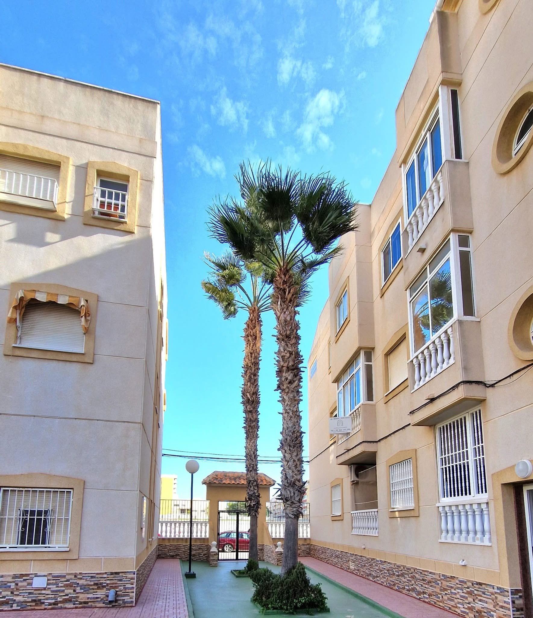 C.Patricio Zammit 69, Torrevieja