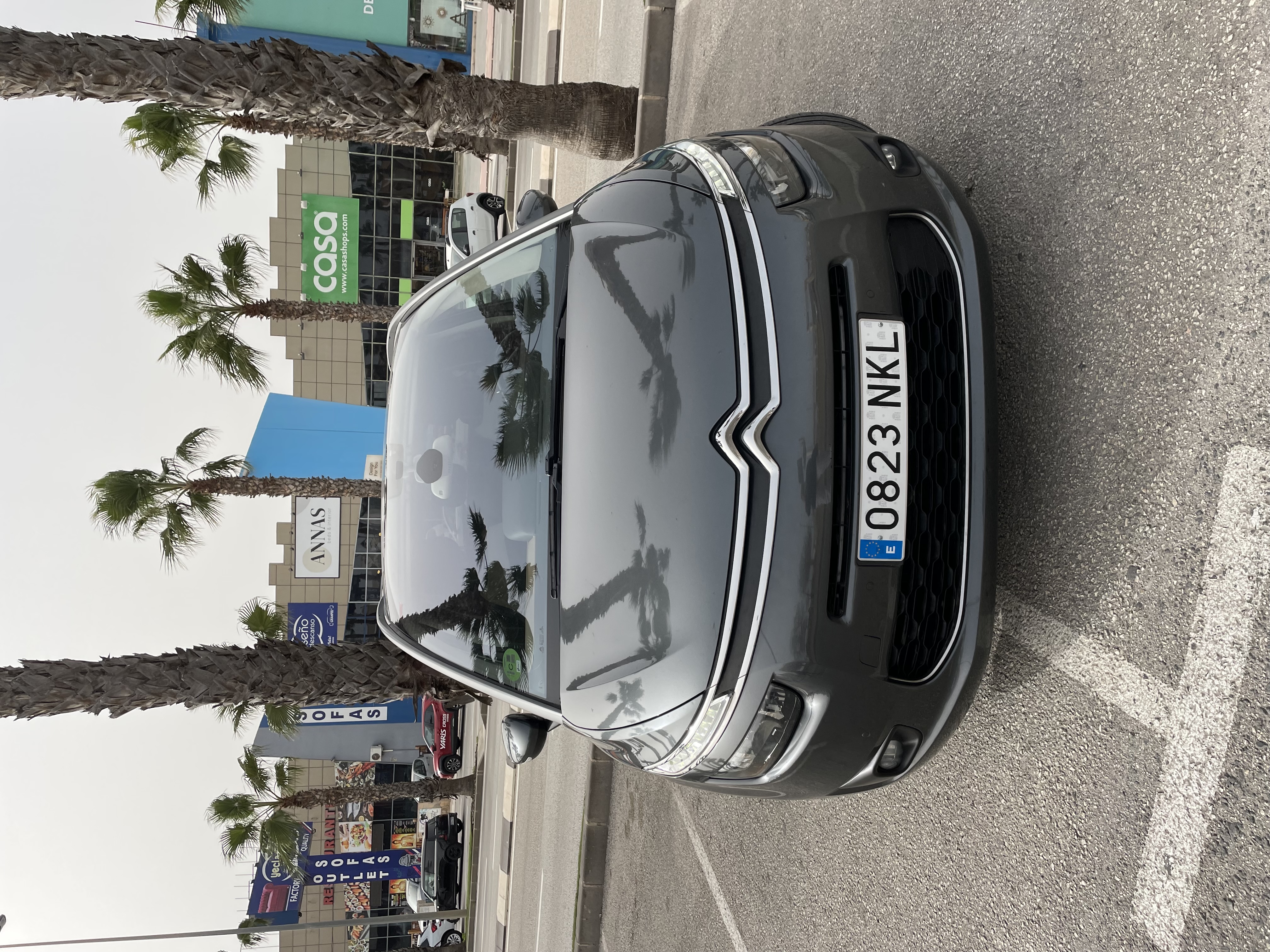 Citroen C4 Picasso-IMG_2200.jpeg